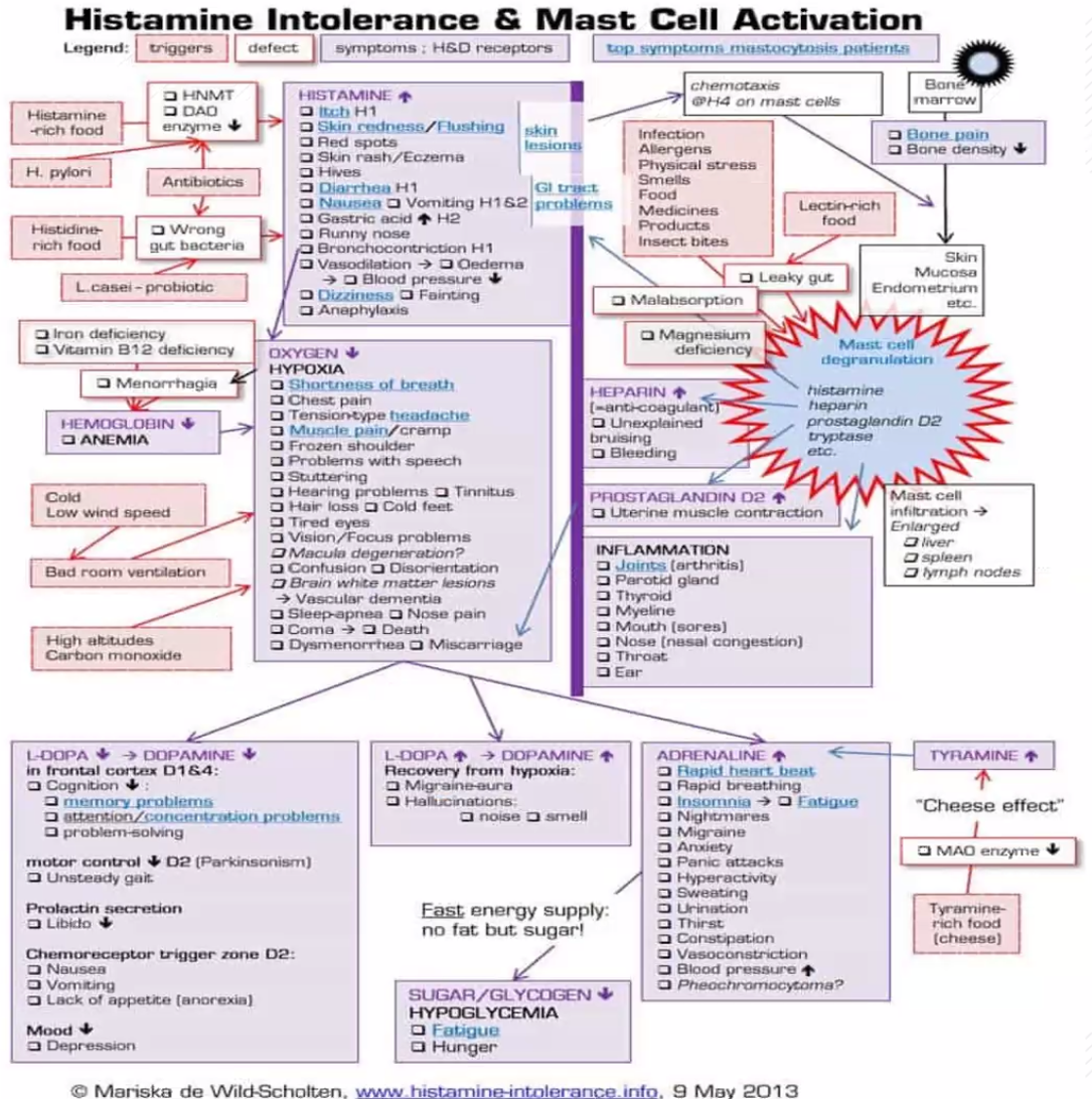 Schéma activation mastocytaire et histamine